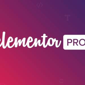 Elementor PRO