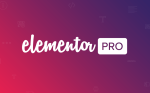 Elementor PRO Logo